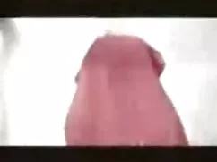Alexis porno prostit ...
