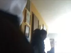 Insegnanti Pet catti ...